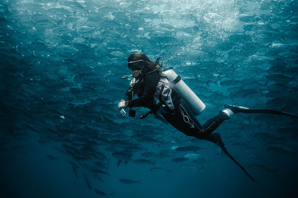 Scuba diver swimming alongside a school of jacks in Cabo Pulmo