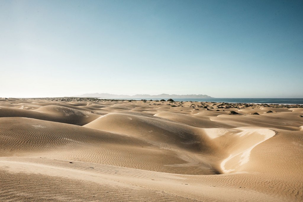 Sand dunes on Isla Magdalena, Baja California Sur