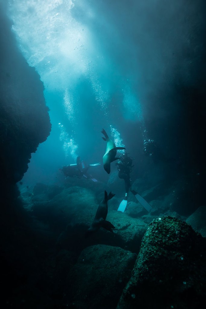 Divers exploring the rocky underwater landscape of Los Islotes, La Paz
