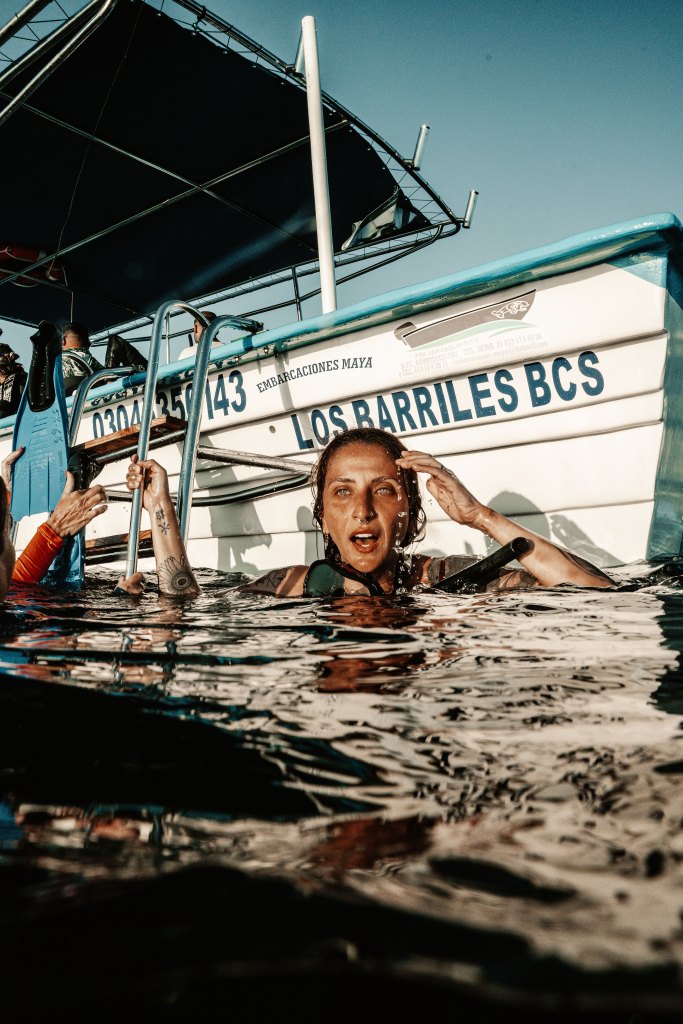 Guests watching marine wildlife from a shaded boat near La Ventana