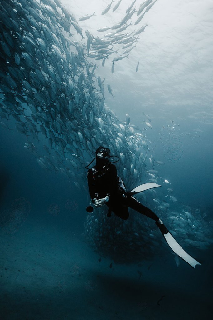 Victoria scuba diving in Cabo Pulmo National Park, Baja California Sur